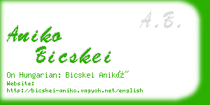 aniko bicskei business card